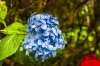 8/5 DSC_3184  site.jpg